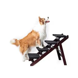 Wooden Dog Stairs Steps - Foldable 4 Levels Pet Stairs & Ramp Perfect For Beds And Cars - Portable Dog Cat Ladder Up To 110 Pounds 5